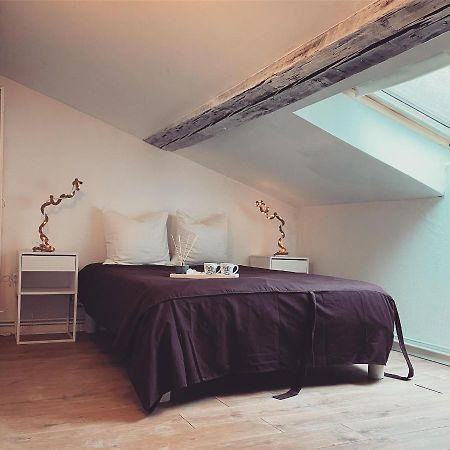 Superbe Duplex En Plein Coeur De Nancy 낭시 외부 사진