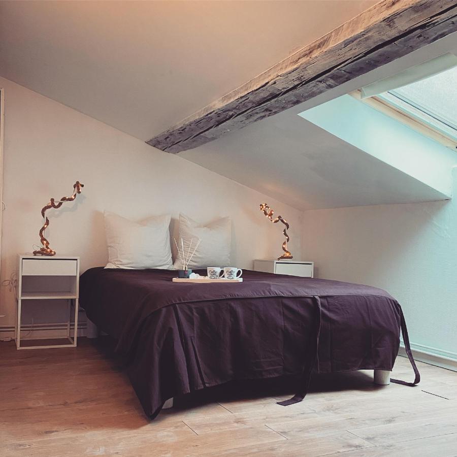 Superbe Duplex En Plein Coeur De Nancy 낭시 외부 사진