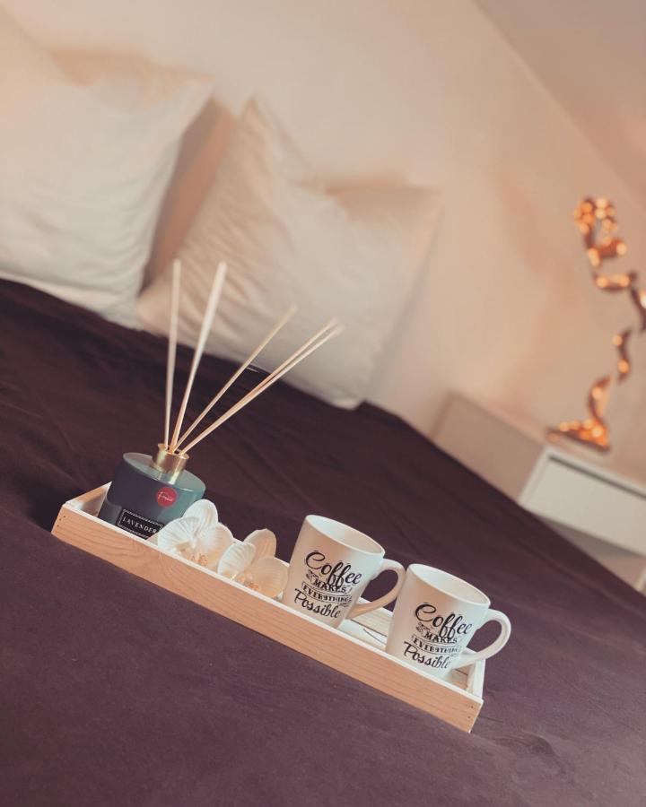 Superbe Duplex En Plein Coeur De Nancy 낭시 외부 사진
